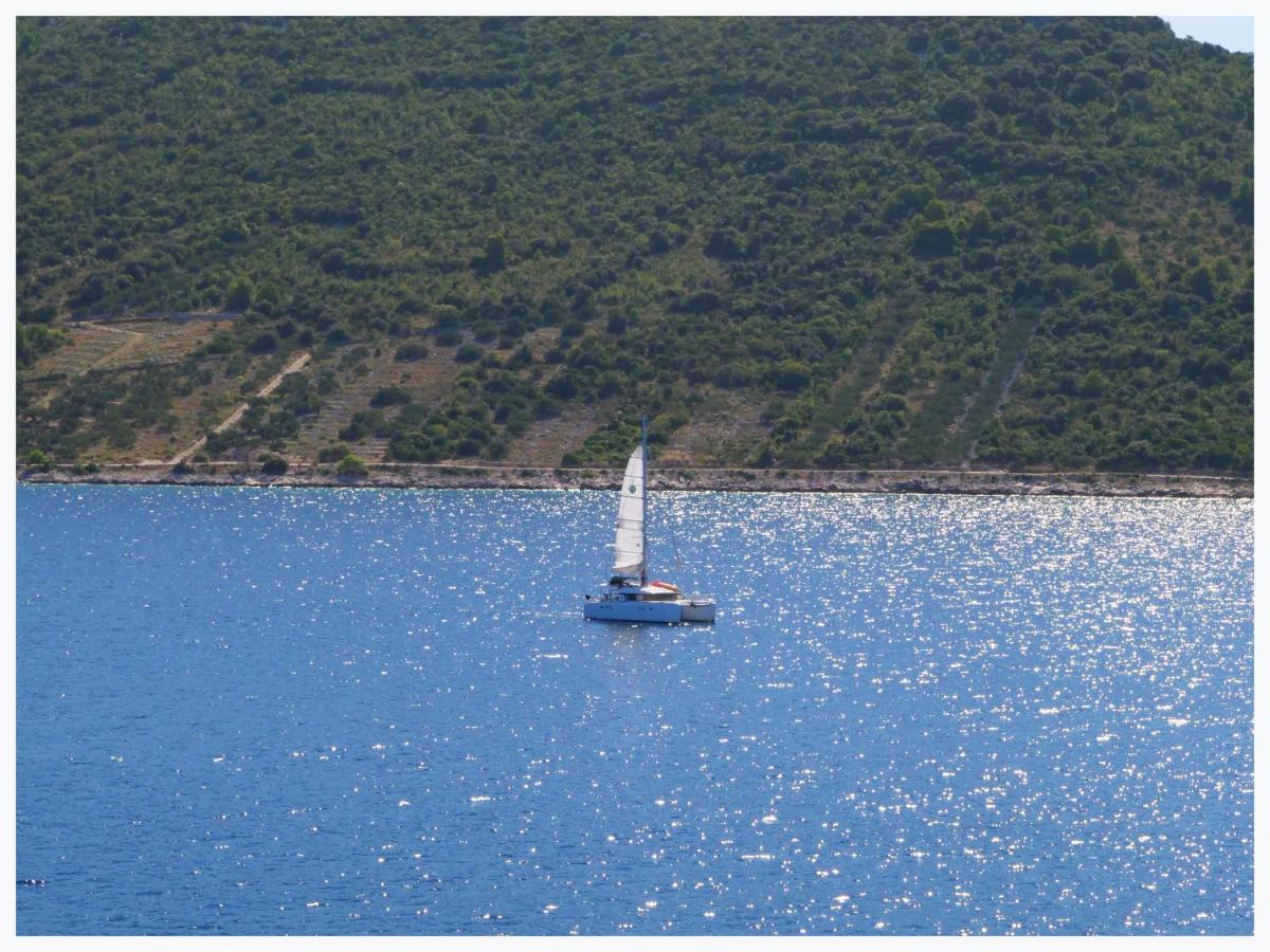 Appartamento The Peninsula Primošten Esterno foto